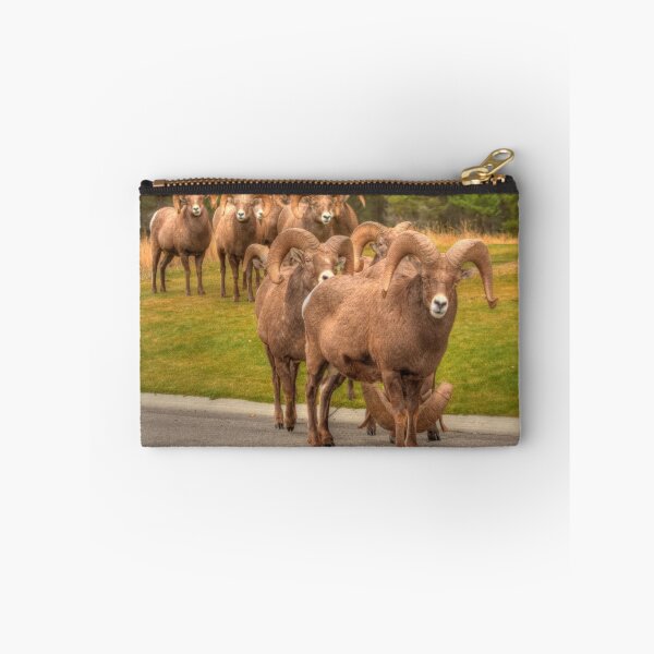 Item preview, Counting Sheep designed and sold by James (820Photography) Anderson.