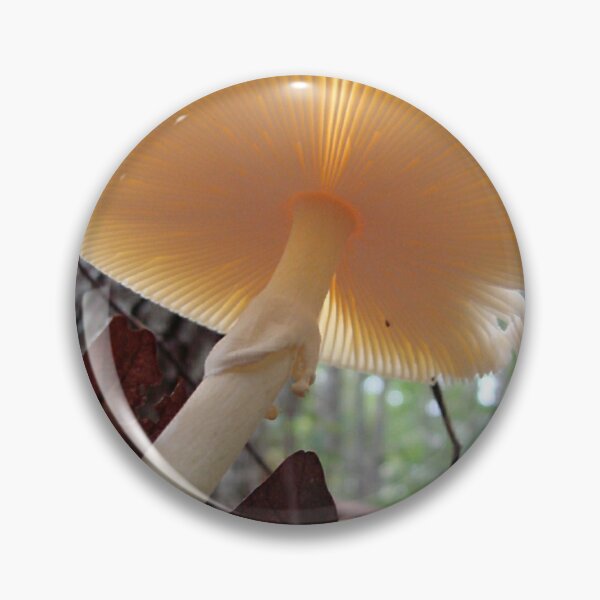 Item preview, "Destroying Angel " Parasol Mushroom designed and sold by Jean Gregory Evans.