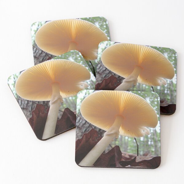 Item preview, "Destroying Angel " Parasol Mushroom designed and sold by Jean Gregory Evans.