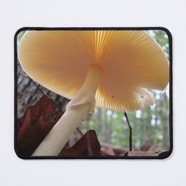 Item preview, "Destroying Angel " Parasol Mushroom designed and sold by Jean Gregory Evans.
