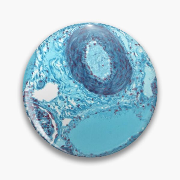 Item preview, Arcuate designed and sold by Love Histology.
