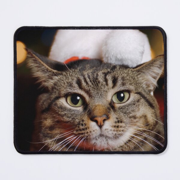 Item preview, Cat Wearing Santa Hat in front of a Christmas Tree designed and sold by Leslie Banks.