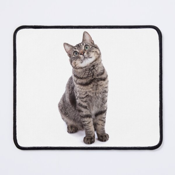 Item preview, Tabby Cat designed and sold by Leslie Banks.