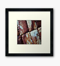 Gingerbread Framed Print