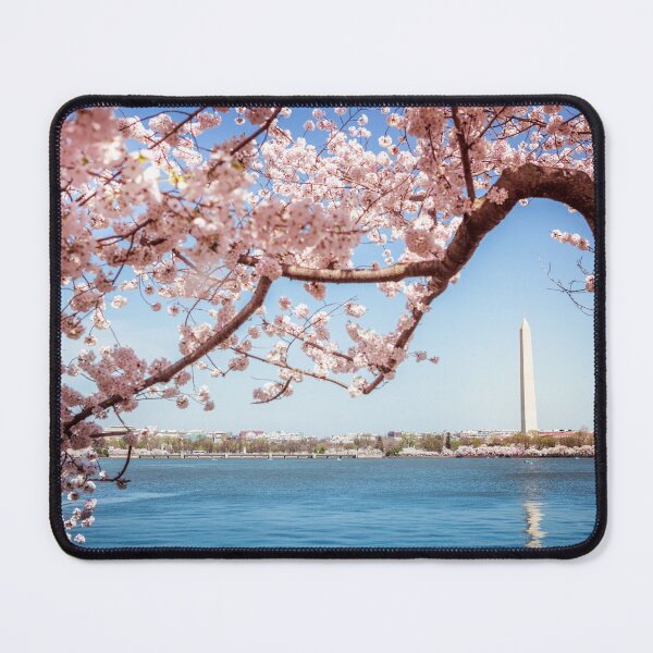 Item preview, Washington Monument designed and sold by Leslie Banks.