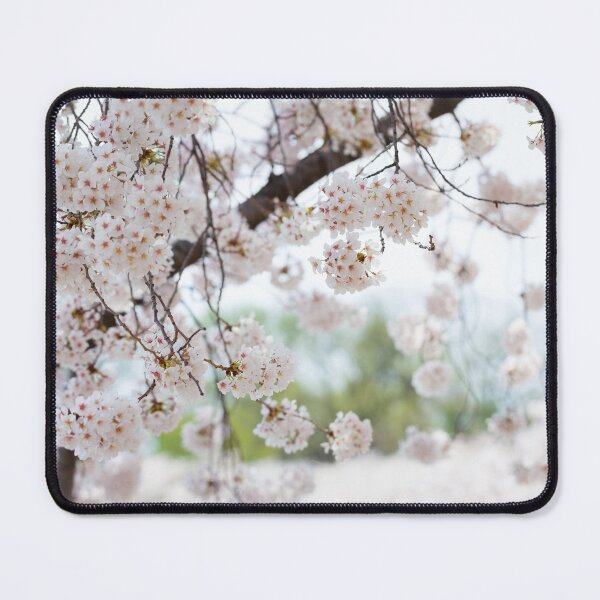Item preview, White Cherry Blossoms designed and sold by Leslie Banks.