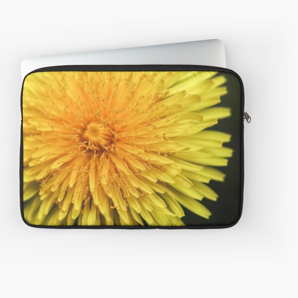Dandelion Flower Head Laptop Sleeve