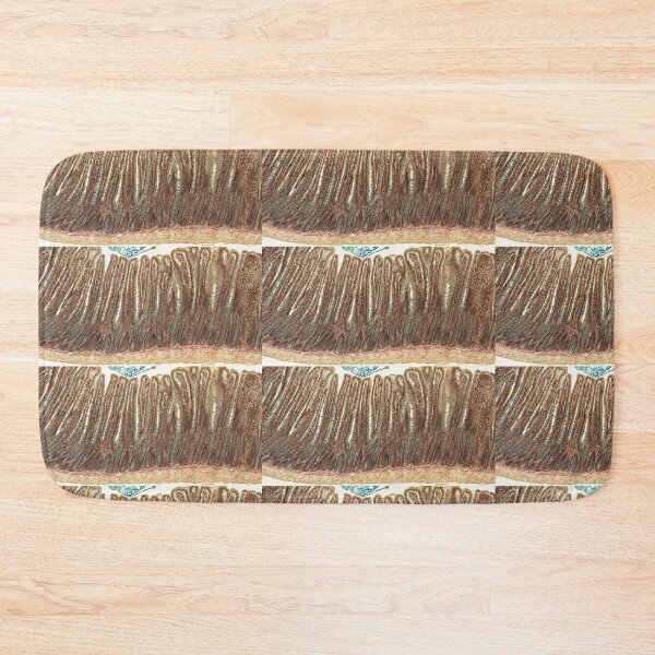 Item preview, Jejunum - Alcian Blue designed and sold by Love Histology.