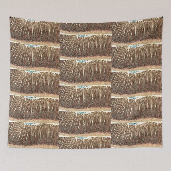 Item preview, Jejunum - Alcian Blue designed and sold by Love Histology.