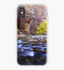Dynamic Zion iPhone Case