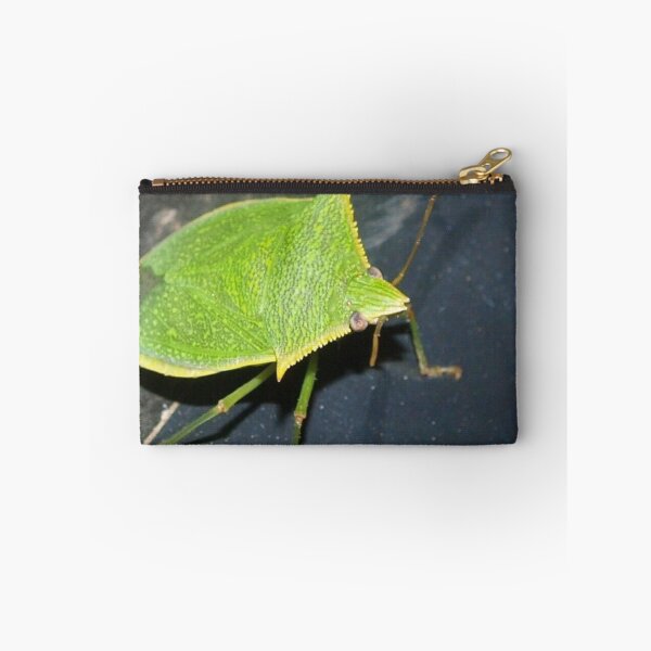 Item preview, Leaf-like bug designed and sold by B. Randi Bailey.