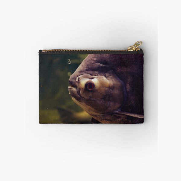 Item preview, fisheye designed and sold by hottehue.
