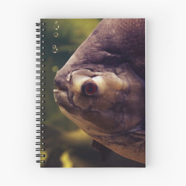 Item preview, fisheye designed and sold by hottehue.