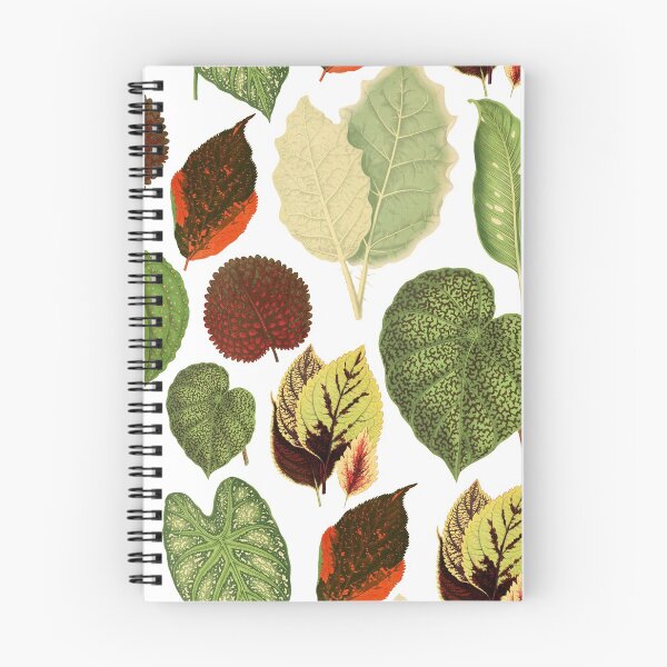 Item preview, House plant botanical leaf pattern cottagecore aesthetic designed and sold by PG Illustration.