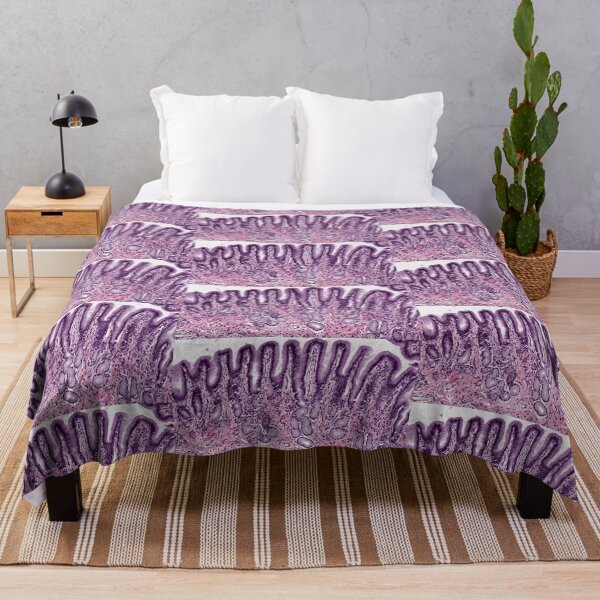 Item preview, Pyloric stomach designed and sold by Love Histology.