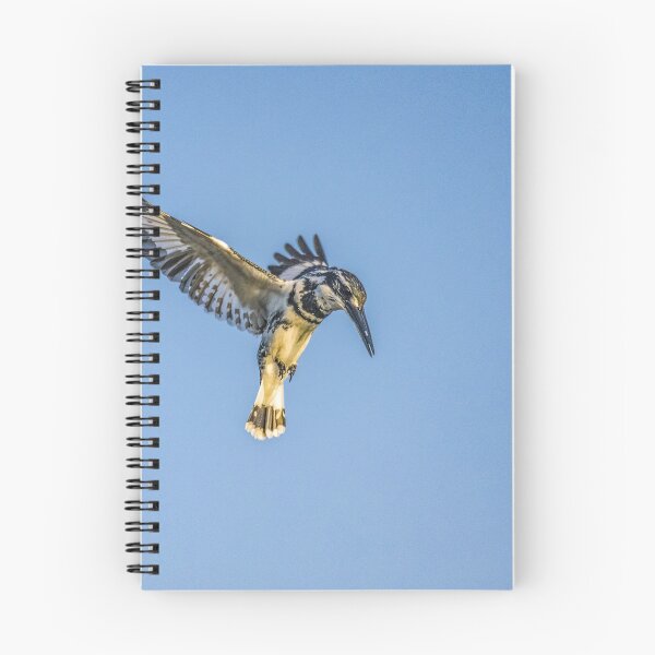 Item preview, Pied Kingfisher designed and sold by SgbClicks19.