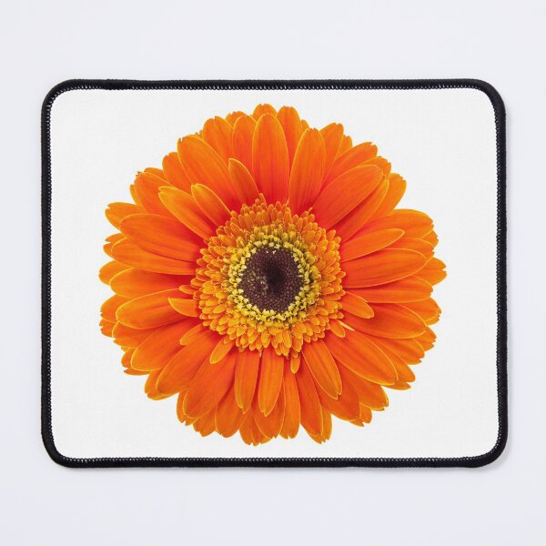 Item preview, Orange Gerbera Daisy designed and sold by Leslie Banks.
