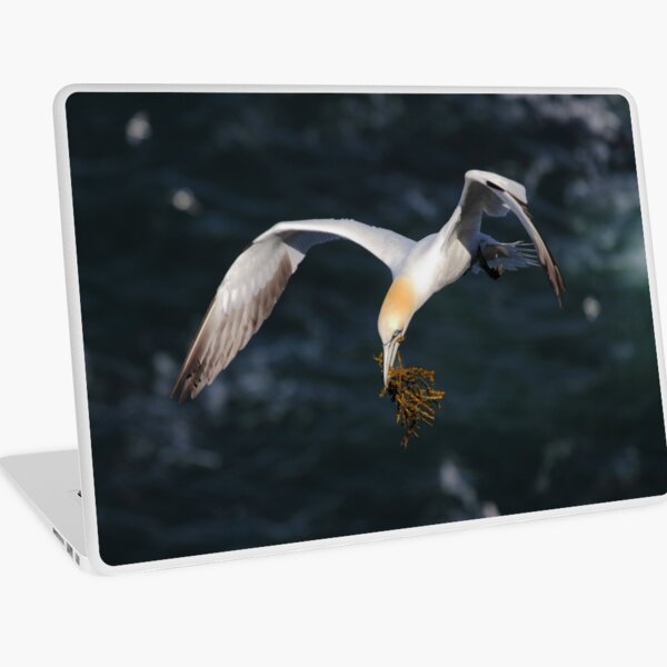 Gannet Laptop Skin
