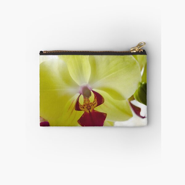 Item preview, Orchid Phalaenopsis designed and sold by Halobrianna.