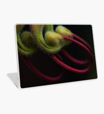 Grevillea bipinnatifida Laptop Skin