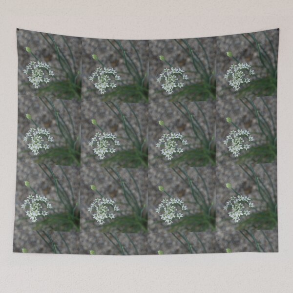 Item preview, Calming Grays and White Stars designed and sold by Georgia Mizuleva.