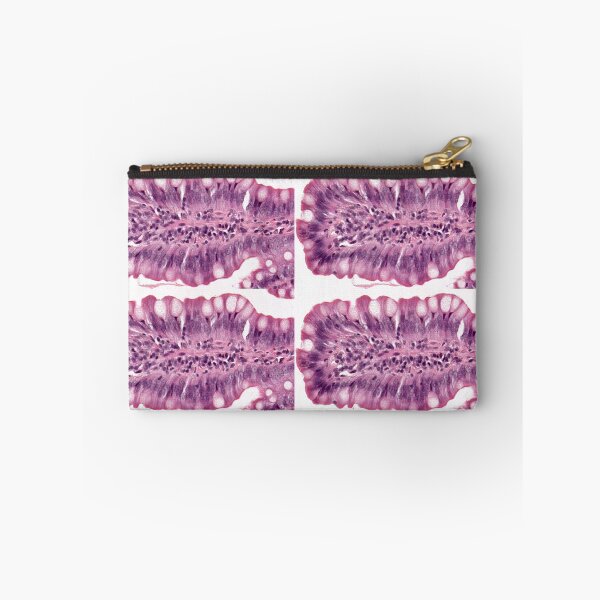 Item preview, Goblet cells designed and sold by Love Histology.