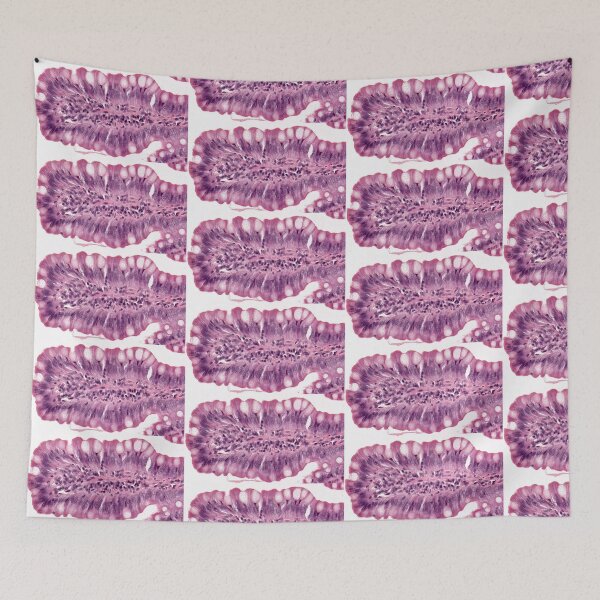 Item preview, Goblet cells designed and sold by Love Histology.