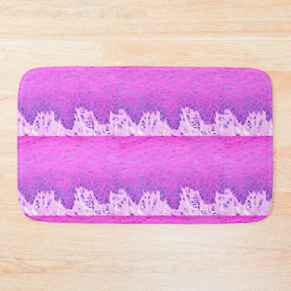 Item preview, Stratified squamous non-keratinized epithelium designed and sold by Love Histology.