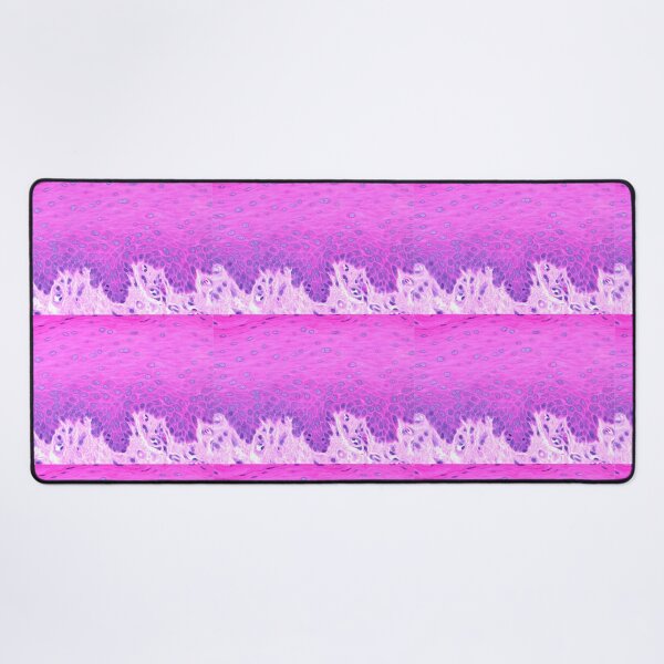 Item preview, Stratified squamous non-keratinized epithelium designed and sold by Love Histology.