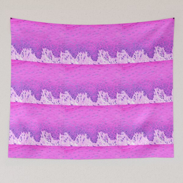 Item preview, Stratified squamous non-keratinized epithelium designed and sold by Love Histology.