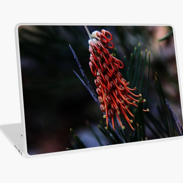 Item preview, Grevillea baxteri designed and sold by andrachne.