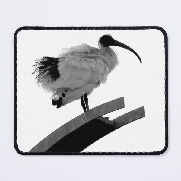 Item preview, Majestic Ibis Photography Black and White designed and sold by Digitaldingo.