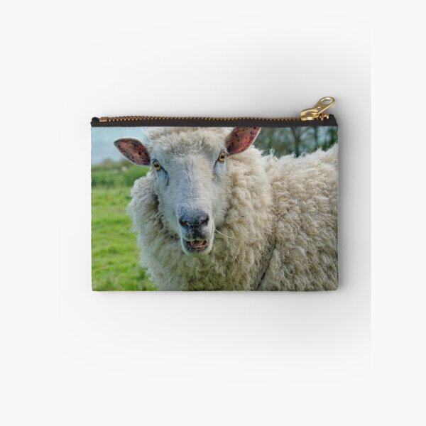 Item preview, I Belong In Pictures designed and sold by Dorset Girl.