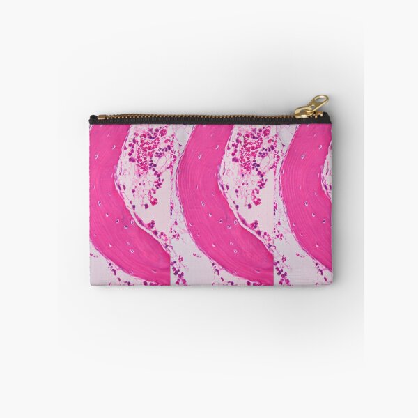 Item preview, Spongy bone designed and sold by Love Histology.