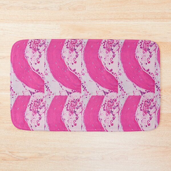 Item preview, Spongy bone designed and sold by Love Histology.