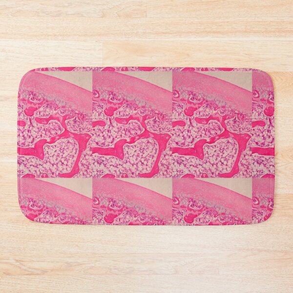 Item preview, Articular cartilage and spongy bone designed and sold by Love Histology.