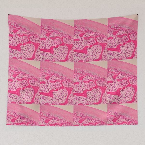 Item preview, Articular cartilage and spongy bone designed and sold by Love Histology.