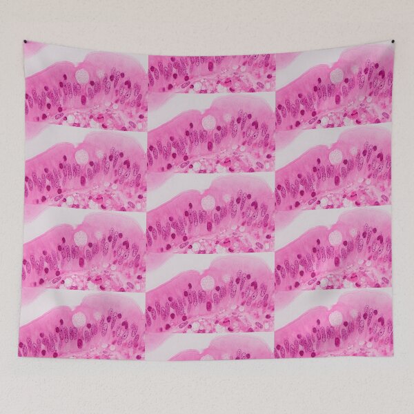 Item preview, Goblet cell designed and sold by Love Histology.