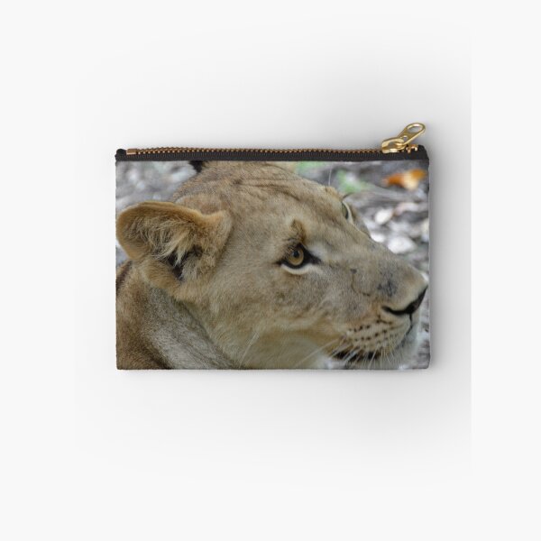Item preview, Walking with Lions in Mauritius designed and sold by andypatt.