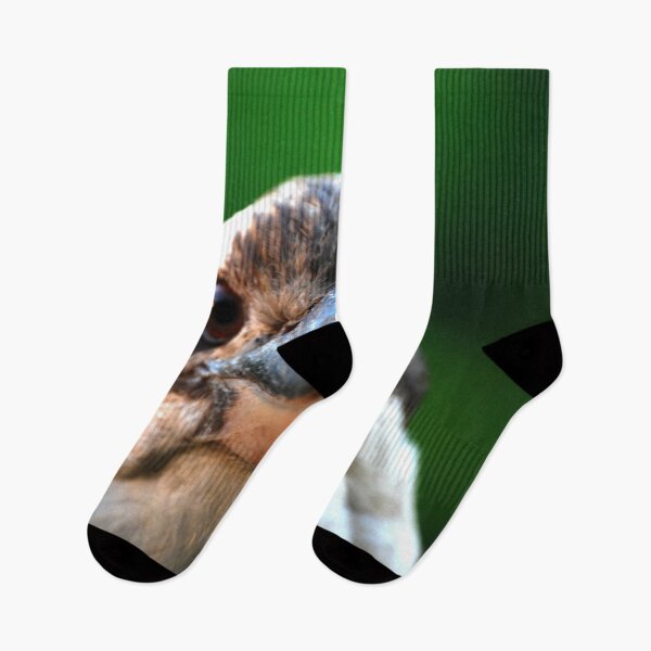 Item preview, Staring Kookaburra  designed and sold by Digitaldingo.