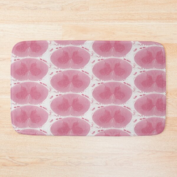 Item preview, Spinal cord designed and sold by Love Histology.