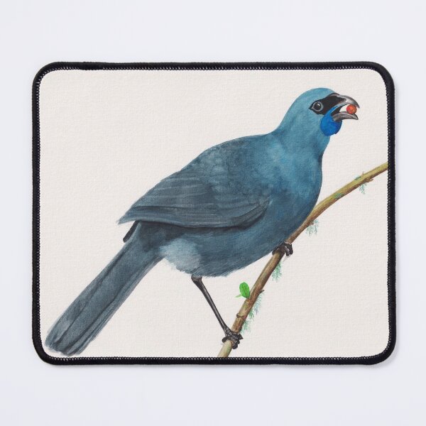 Blue wattlebird kokako on a branch original watercolor art Mouse Pad