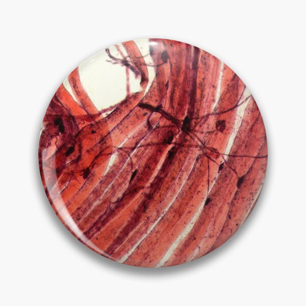 Item preview, Motor End Plate designed and sold by Love Histology.