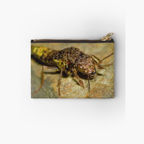 Item preview, Gold & Brown Rove Beetle designed and sold by WorldDesign.