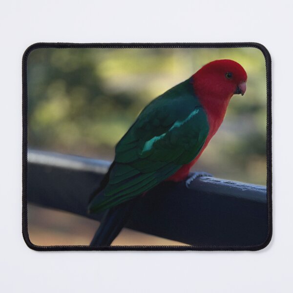 Item preview, King parrot  designed and sold by C-L-Cs.