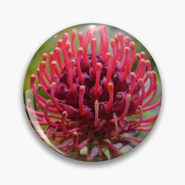 Item preview, Waratah in Blackheath designed and sold by Mrtweety.