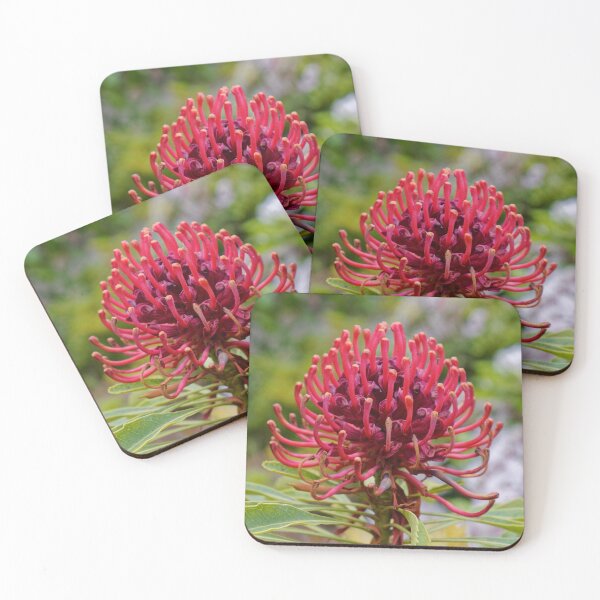 Item preview, Waratah in Blackheath designed and sold by Mrtweety.