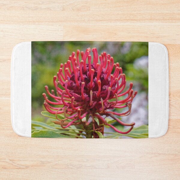 Item preview, Waratah in Blackheath designed and sold by Mrtweety.