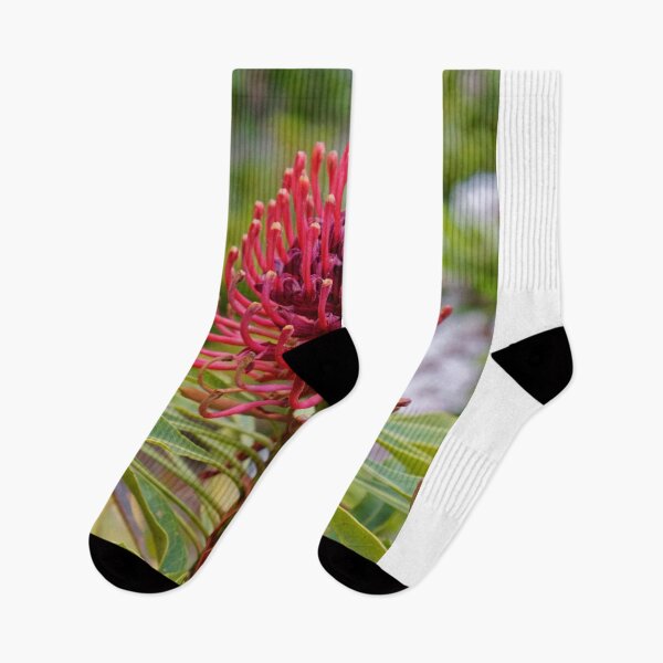 Item preview, Waratah in Blackheath designed and sold by Mrtweety.