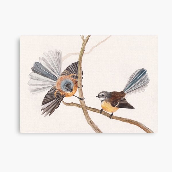 Fantails on tree branches original watercolor art Canvas Print